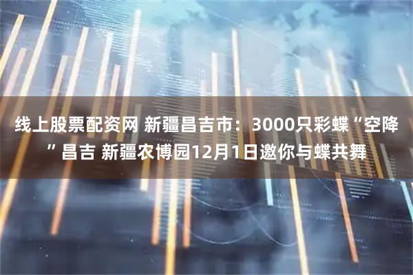 线上股票配资网 新疆昌吉市:3000只彩蝶“空降”昌吉 新疆农博园12月1日邀你与蝶共舞
